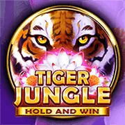 Biểu đồ các loại kèo đá gà phổ biến tại SCLUB88