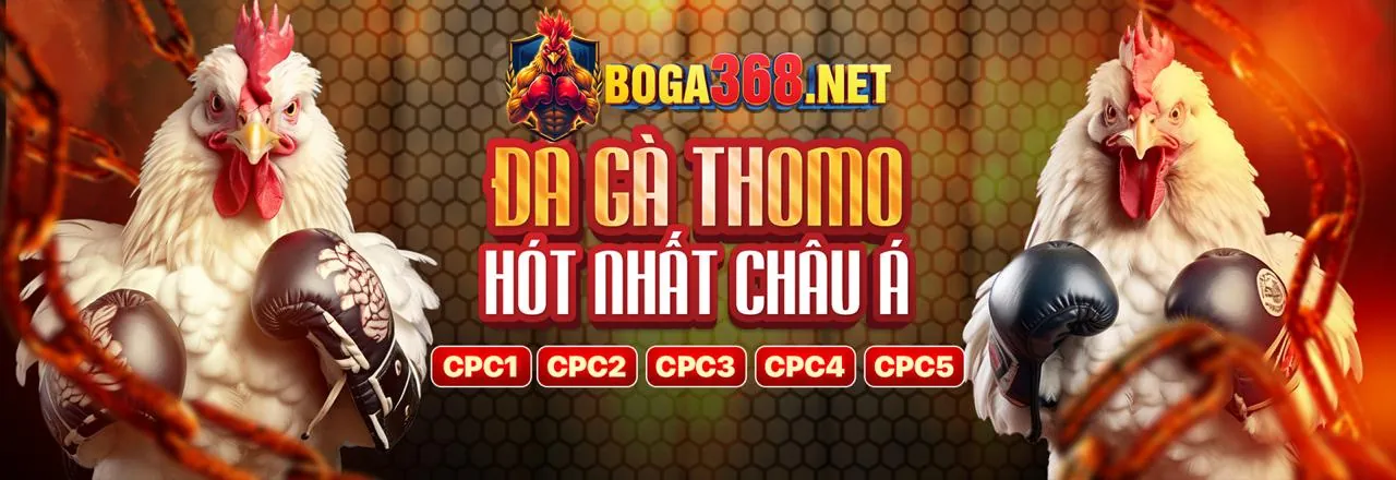 Sự kiện độc quyền và quà tặng xa xỉ cho thành viên VIP Sclub88